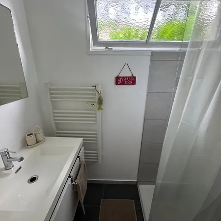2 Pieces Avec Terrasses Daire